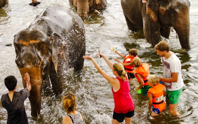 Elephants World Elephant Care Experience in Kanchanaburi with River Kwai Longtail Boat