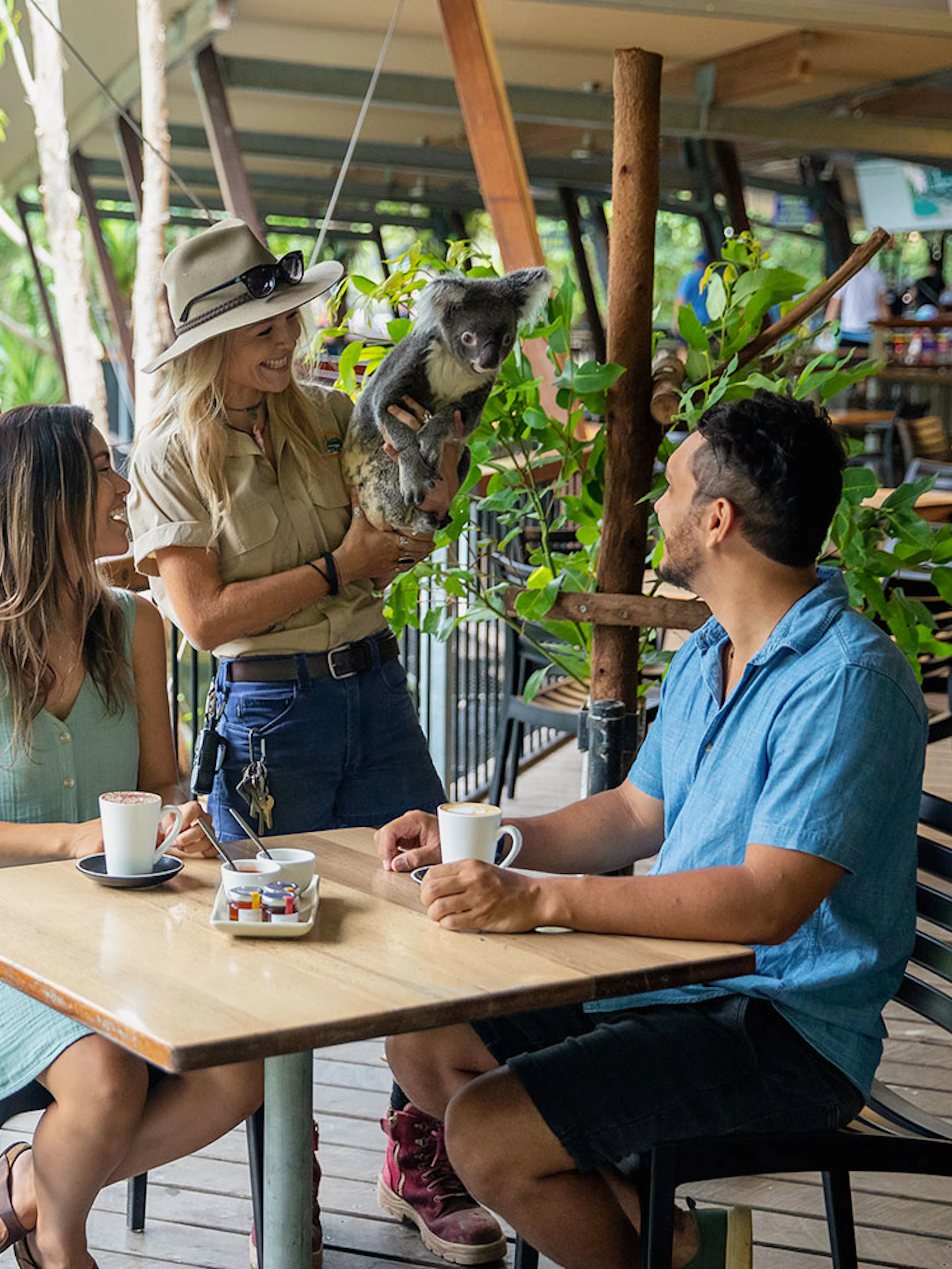 Breakfast with koalas at Hartley's Crocodile Adventures, guests seated with coffee.