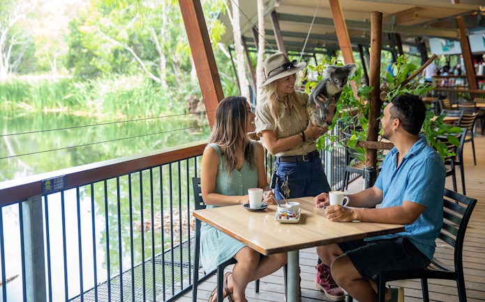 Breakfast with koalas at Hartley's Crocodile Adventures, guests seated with coffee.