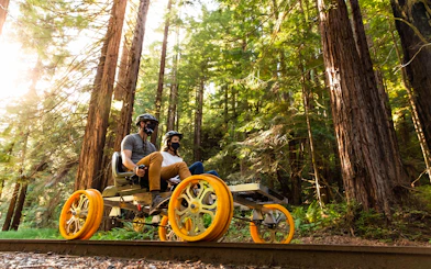Guests riding a rail bike through redwood forest in San Francisco.