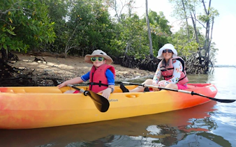 Kayaking through mangrove forest in Pulau Ubin, Singapore.