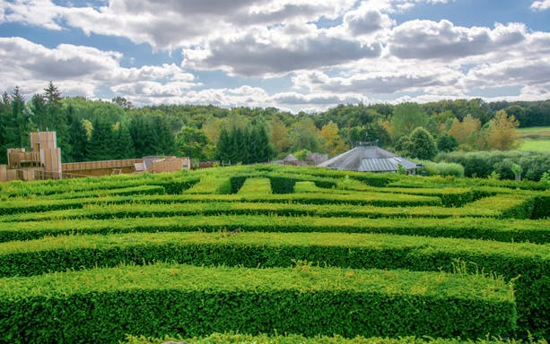 Leeds Castle garden maze with lush green hedges and scenic countryside backdrop.