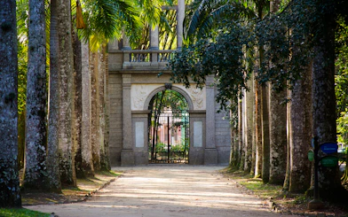 Rio de Janeiro Botanical Garden and Parque Lage Guided Tour with Professional Photos