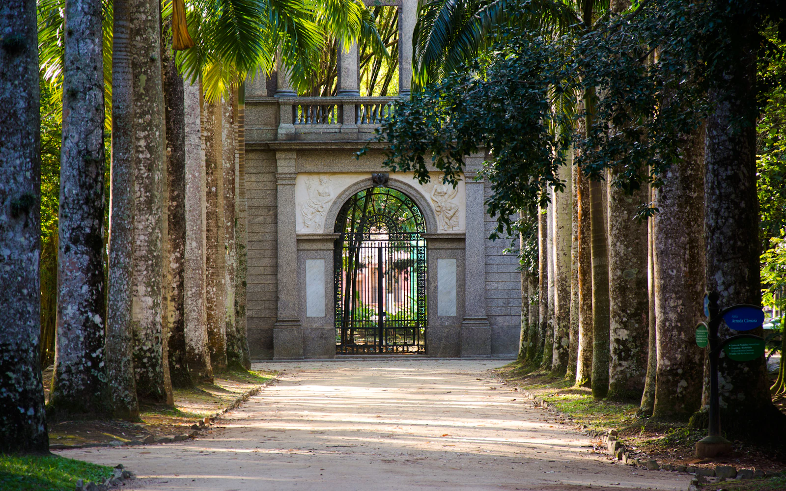 Rio de Janeiro Botanical Garden and Parque Lage Guided Tour with Professional Photos Image 3