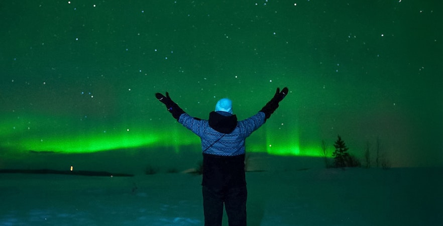 Day trips from Tromso