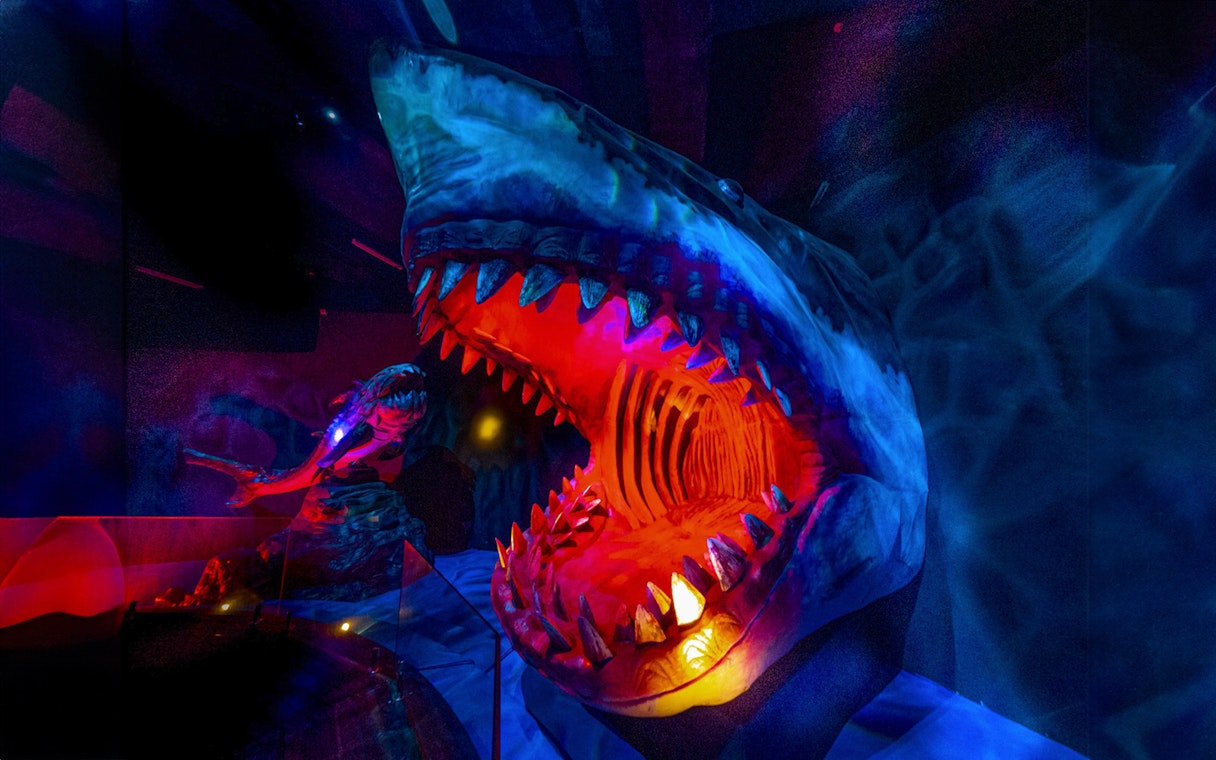 Shark exhibit with vibrant lighting at Wetland Studios Putrajaya, Malaysia.