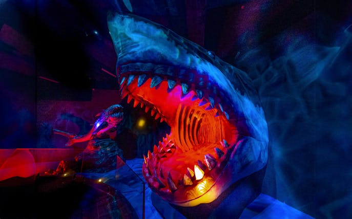Shark exhibit with vibrant lighting at Wetland Studios Putrajaya, Malaysia.
