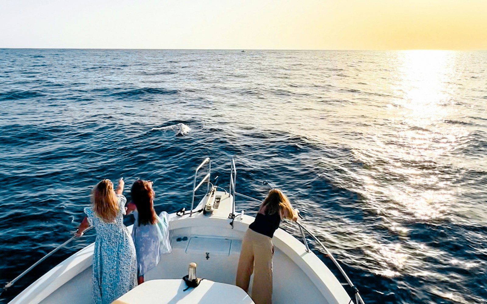 Tourists on a boat watching dolphins during sunset cruise in Gran Canaria.