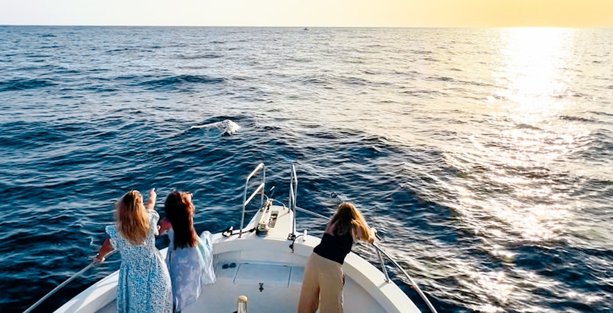 Tourists on a boat watching dolphins during sunset cruise in Gran Canaria.