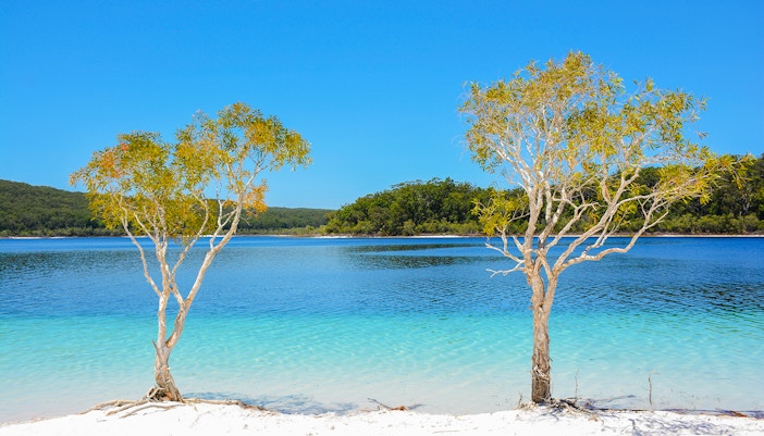 Lake McKenzie on Fraser Island, K'gari with clear blue water and white sandy shore.