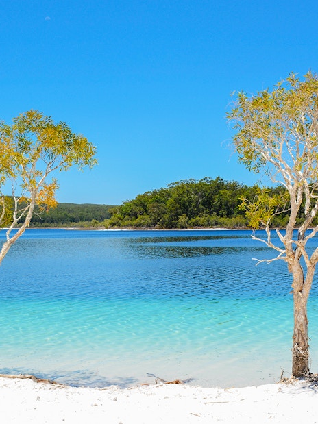 Lake McKenzie on Fraser Island, K'gari with clear blue water and white sandy shore.