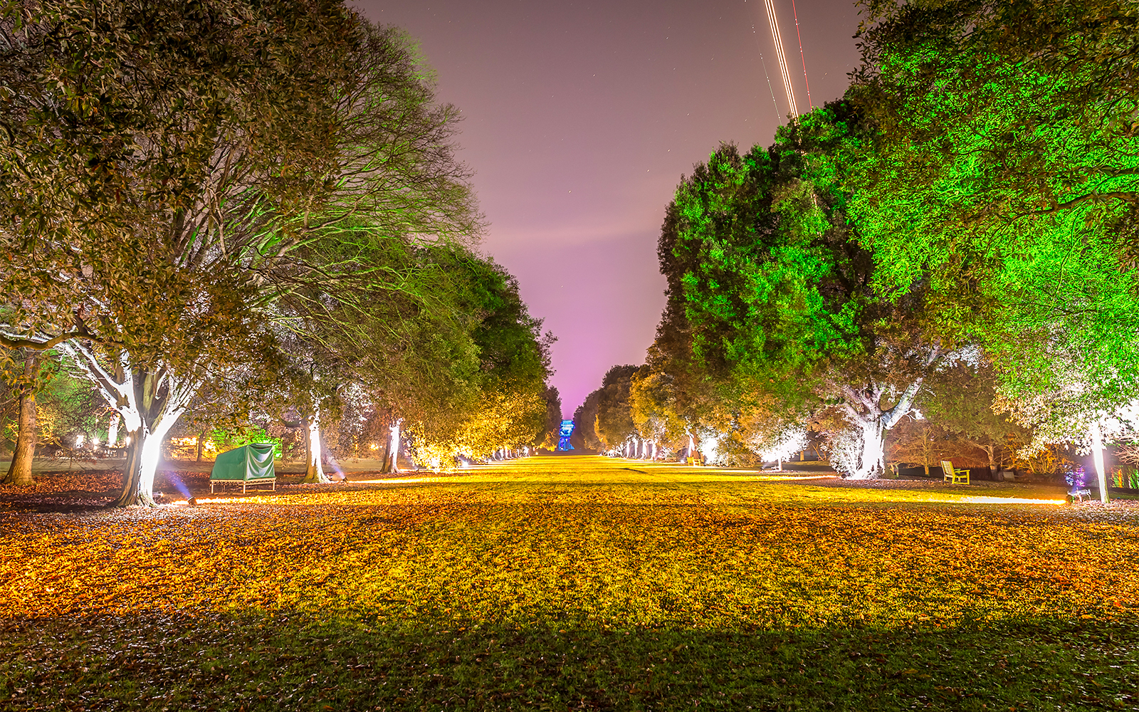 Kew Gardens illuminated path with colorful lights during Christmas event.