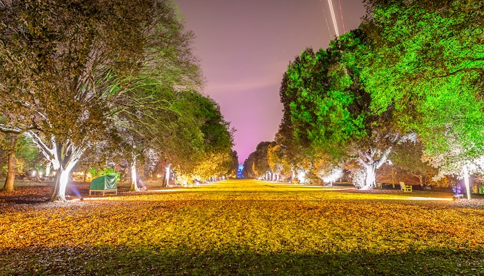 Kew Gardens illuminated path with colorful lights during Christmas event.