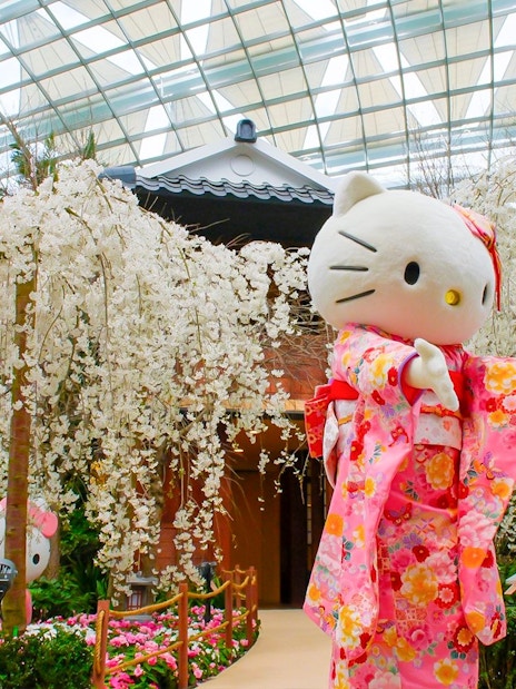 Hello Kitty in kimono at Gardens by the Bay Sakura event, Singapore.