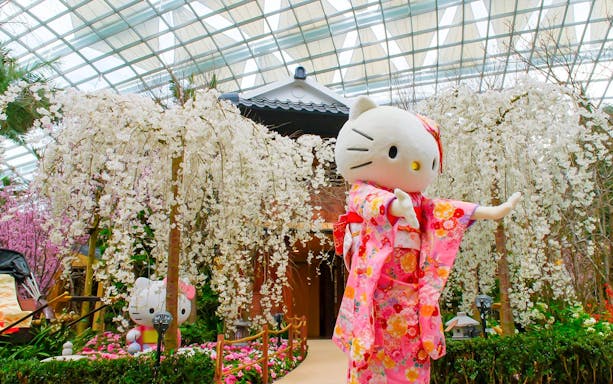 Hello Kitty in kimono at Gardens by the Bay Sakura event, Singapore.