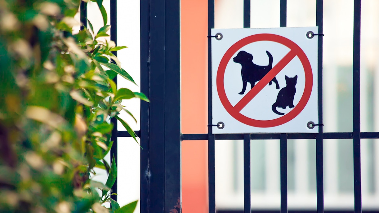 Wine Tours in Provence