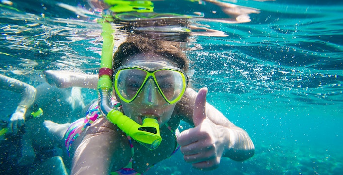 Irukandji Shark & Ray Encounters