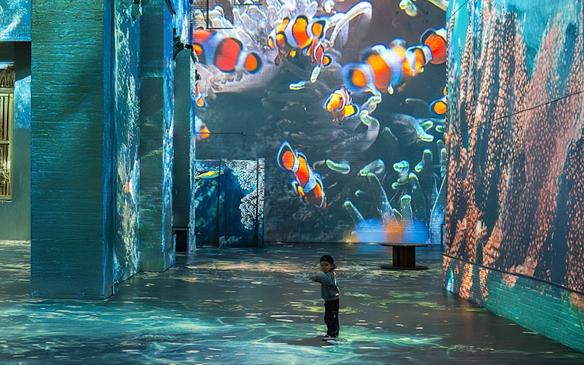 Clownfish projections at The Sea Exhibition, Fabrique des Lumières, with a child observing.