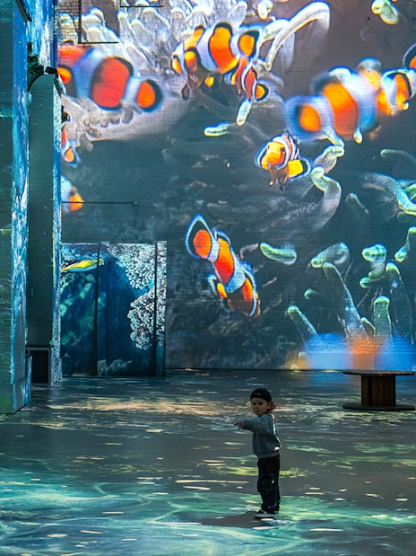 Clownfish projections at The Sea Exhibition, Fabrique des Lumières, with a child observing.