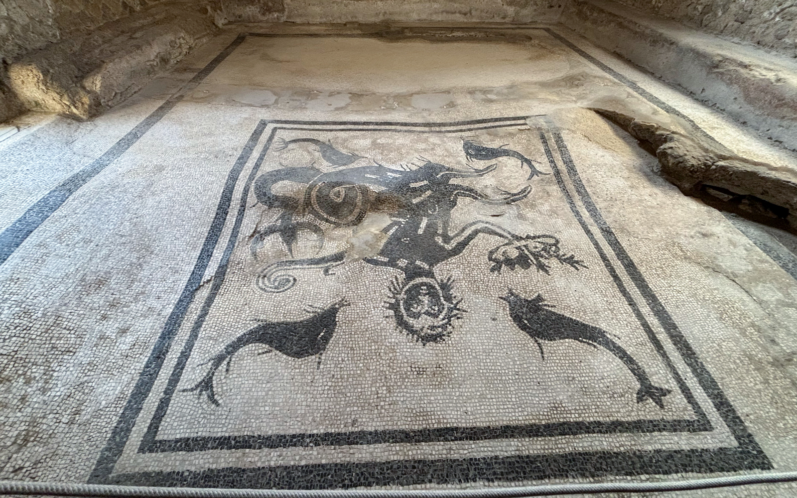 Herculaneum mosaic depicting marine life and mythological figures.