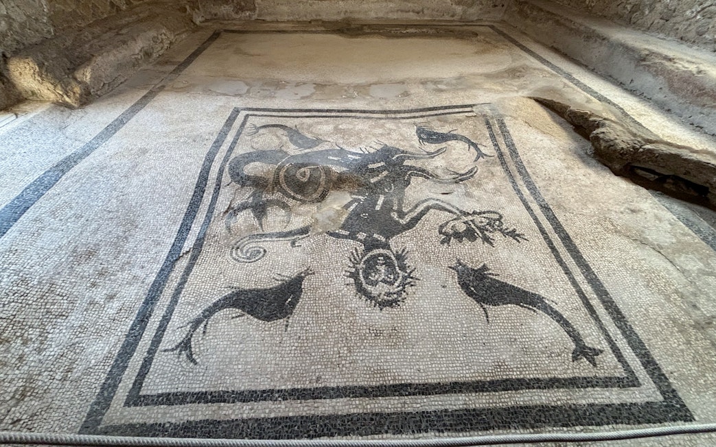 Herculaneum mosaic depicting marine life and mythological figures.