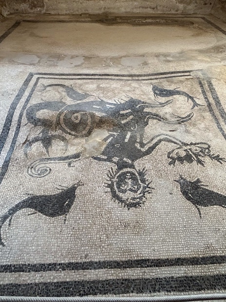 Herculaneum mosaic depicting marine life and mythological figures.