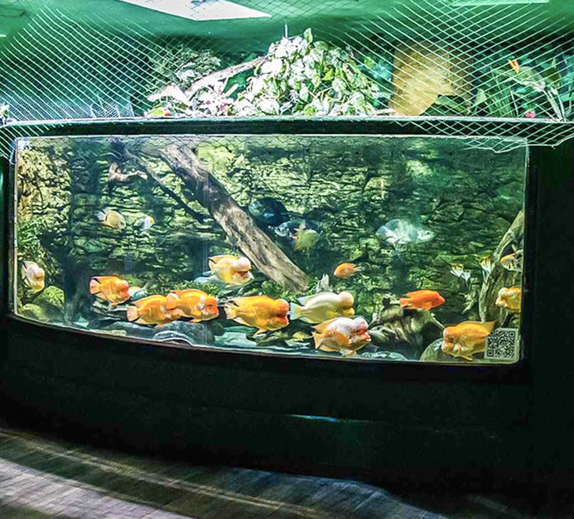 Inside view of Budapest Tropicarium