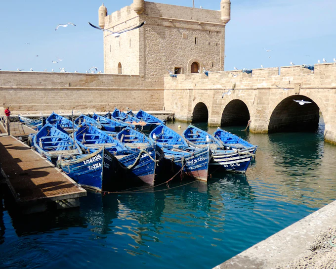 Daily Shared Tour: Essaouira Coastal Walk from Marrakech