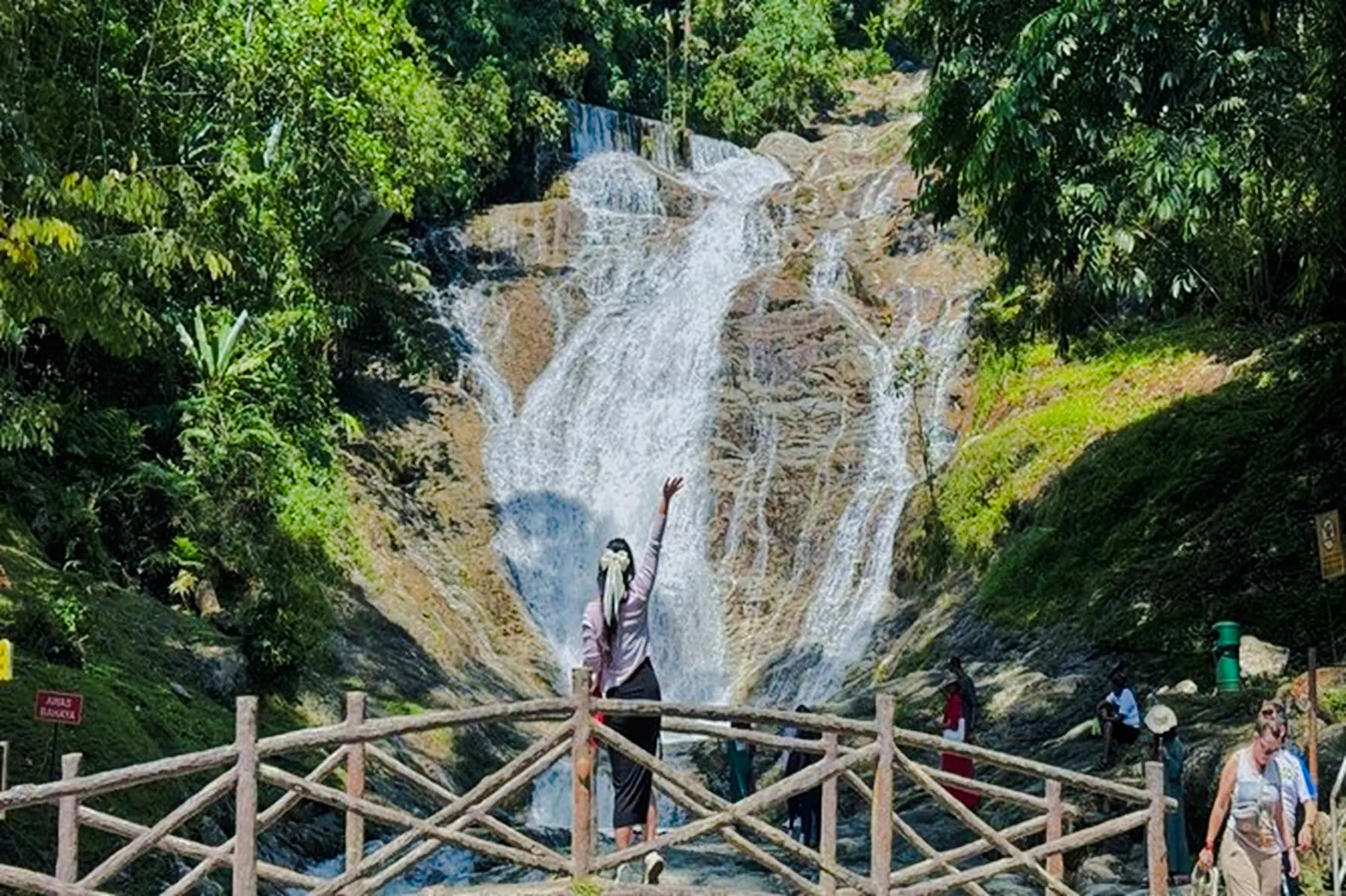 from kuala lumpur: private cameron highlands tour-19