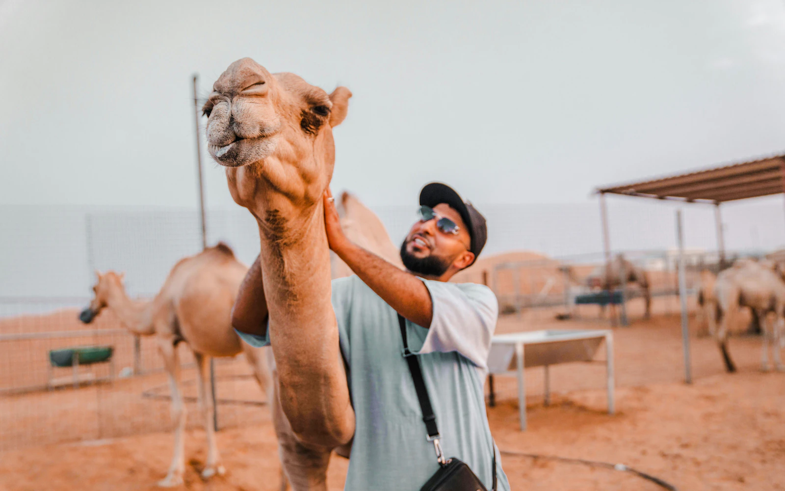 From Dubai: Lahbab Red Dunes Sunset Desert Safari with Dune Bashing & Sandboarding