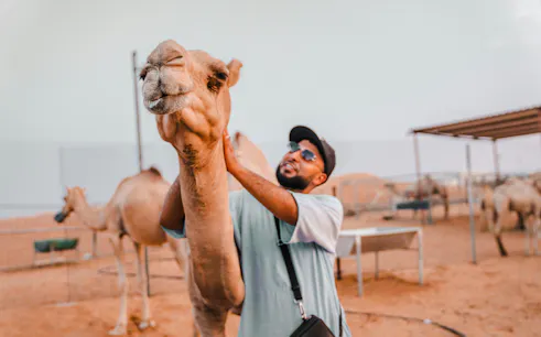 desde dubái: safari por el desierto al atardecer en las dunas rojas de lahbab, con conducción en dunas y sandboarding; descenso de dunas-1