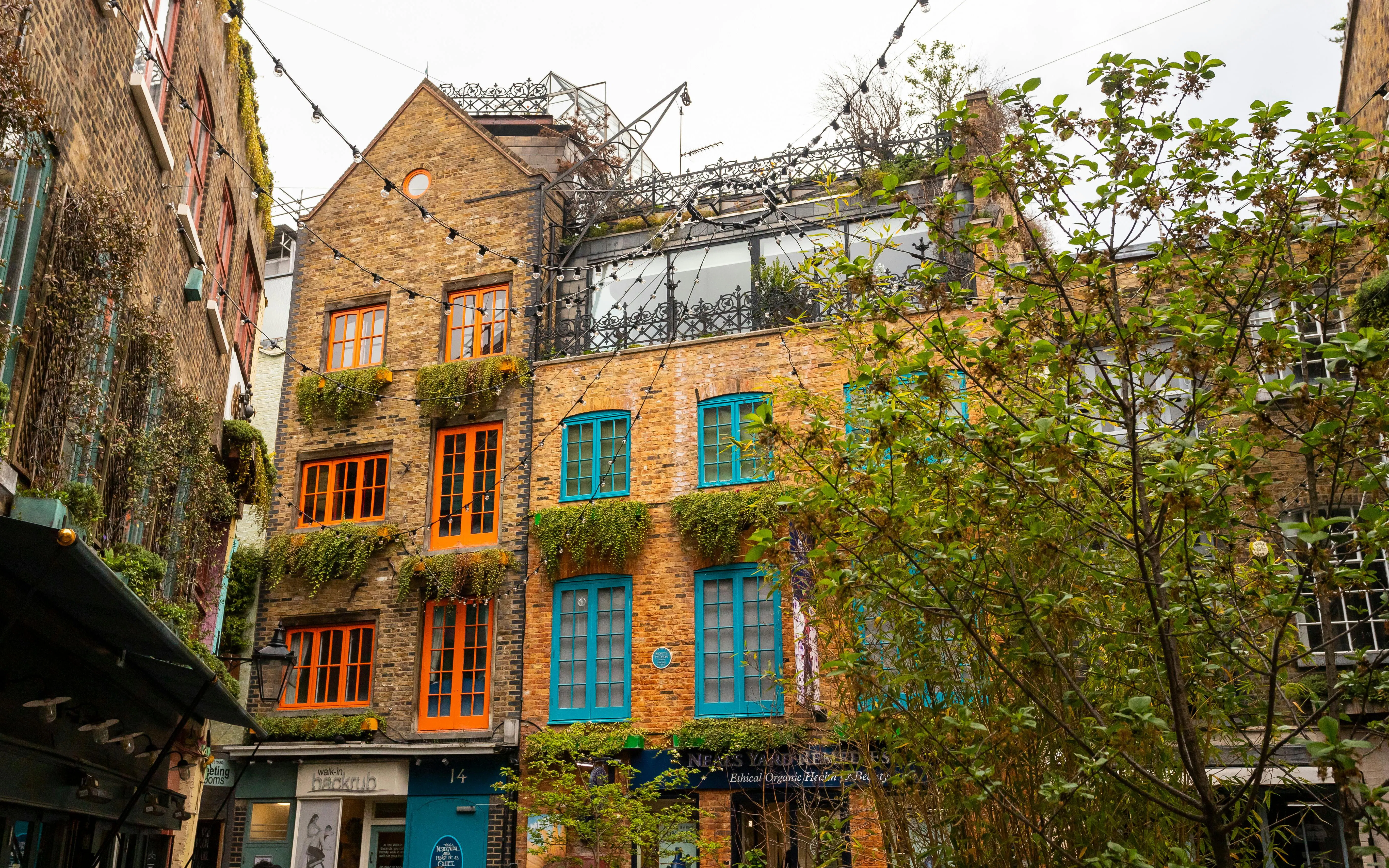 Colorful buildings with vibrant windows and greenery in Neal's Yard, London.