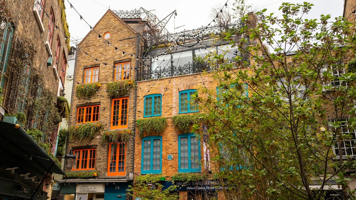 Colorful buildings with vibrant windows and greenery in Neal's Yard, London.