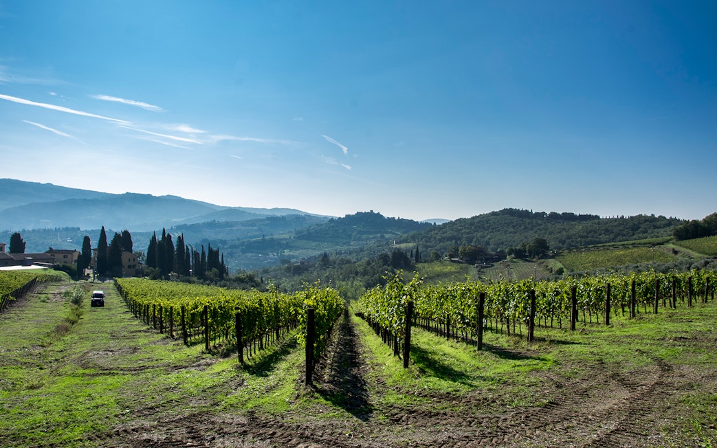 Vineyards in Chianti Hills, Tuscany, with rolling hills and cypress trees in the background.