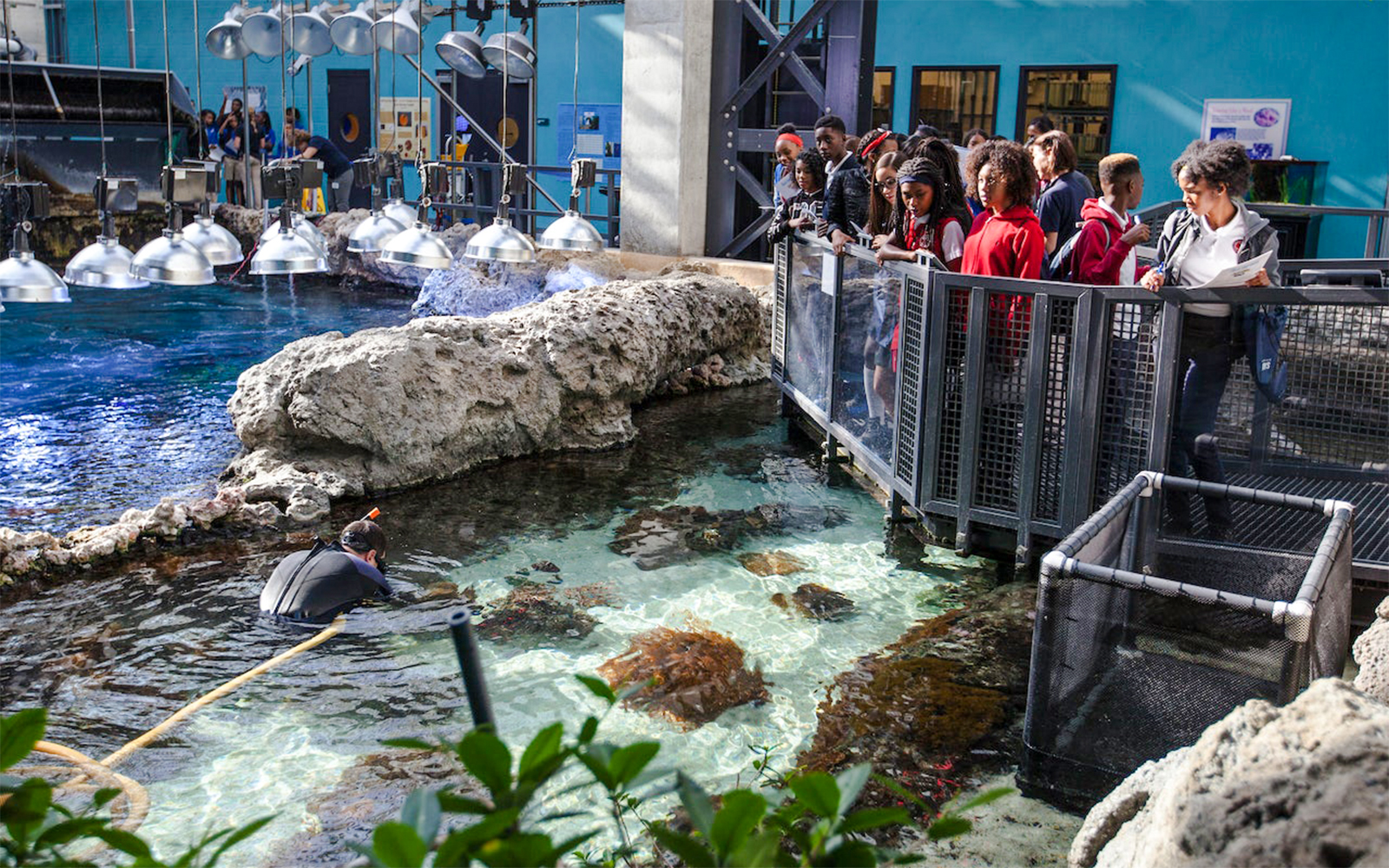 Visitors observing marine life at Georgia Aquarium, Atlanta.