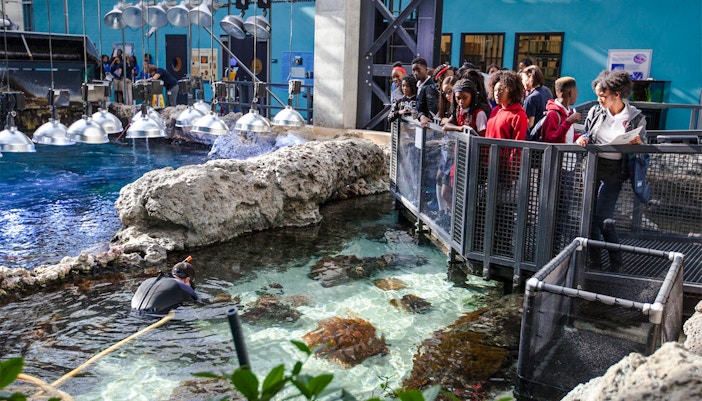 Visitors observing marine life at Georgia Aquarium, Atlanta.