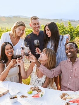 Group enjoying wine and snacks in a vineyard during a Provence day trip.