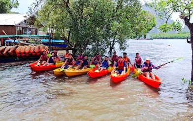 Group kayaking in Ao Thalane, Krabi, near mangroves and docked kayaks.