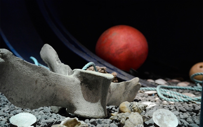 Inside the Visitor centre exhibit displaying whale bones.
