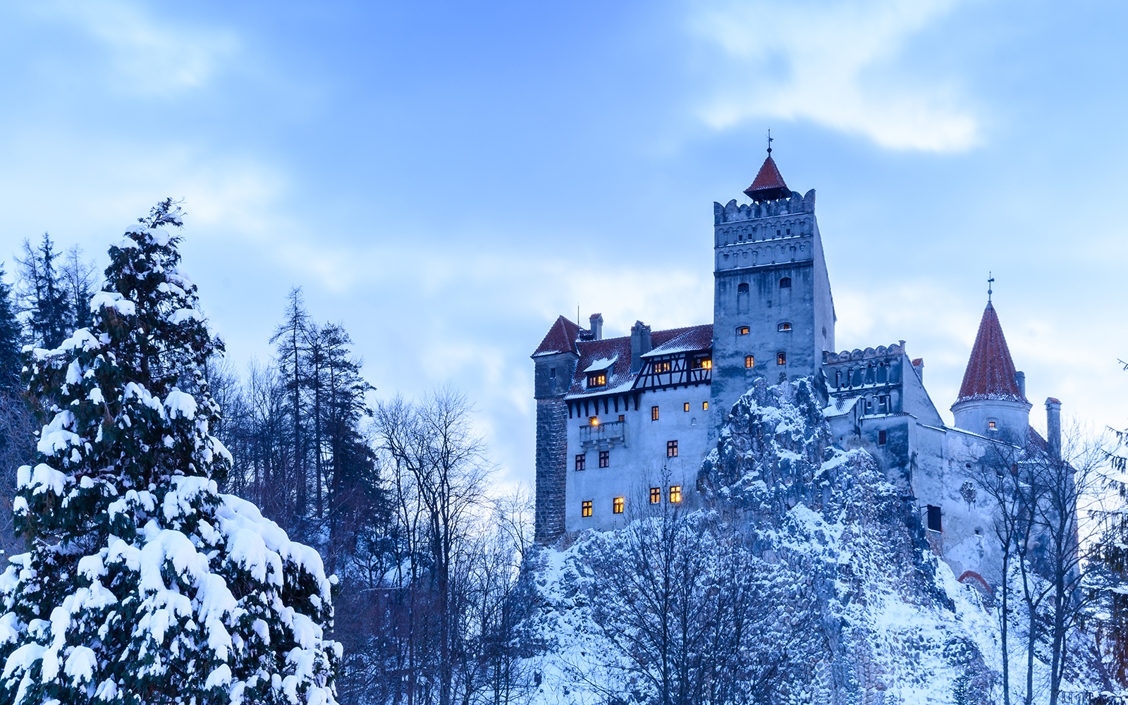 bram stoker dracula's castle