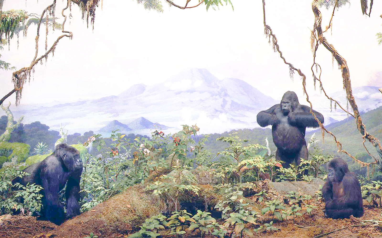 Akeley Hall of African Mammals diorama featuring elephants at the American Museum of Natural History, New York.