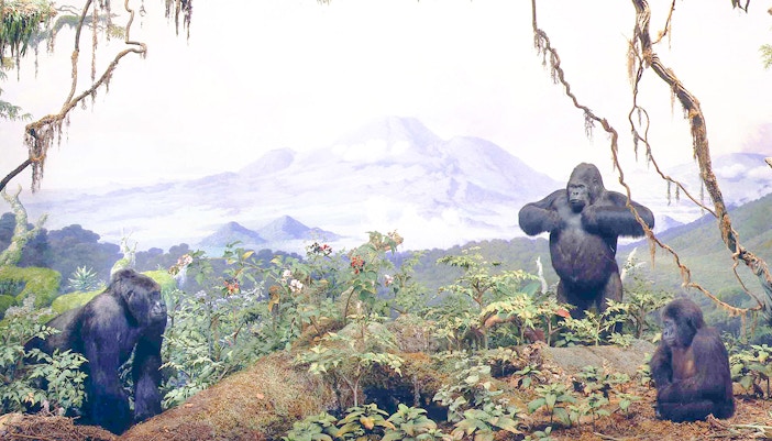 Akeley Hall of African Mammals diorama featuring elephants at the American Museum of Natural History, New York.