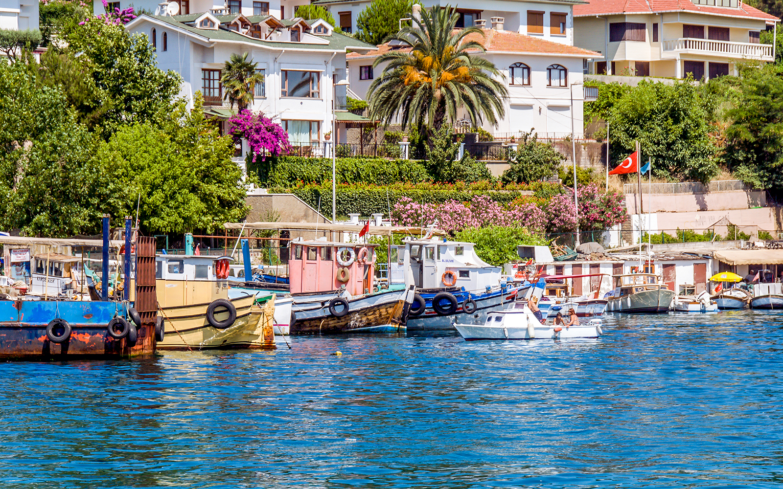 Ferry docked at Princes Islands, Istanbul with colorful houses and lush greenery in the background.