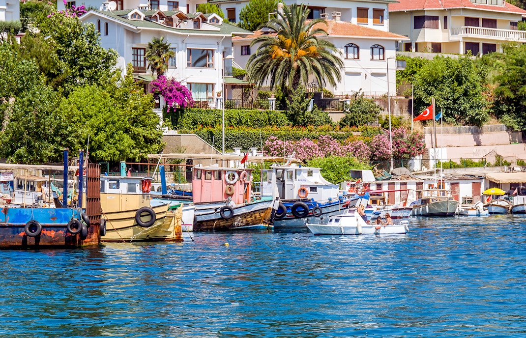 Ferry docked at Princes Islands, Istanbul with colorful houses and lush greenery in the background.