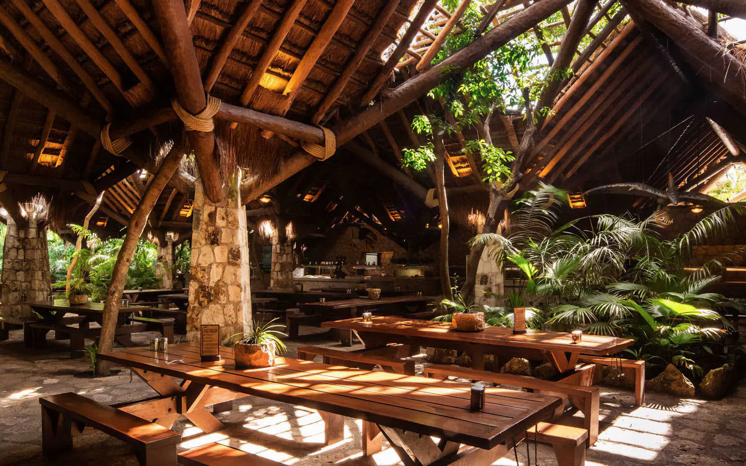 Rustic dining area with wooden tables and lush greenery at Xplor Park Restaurant.