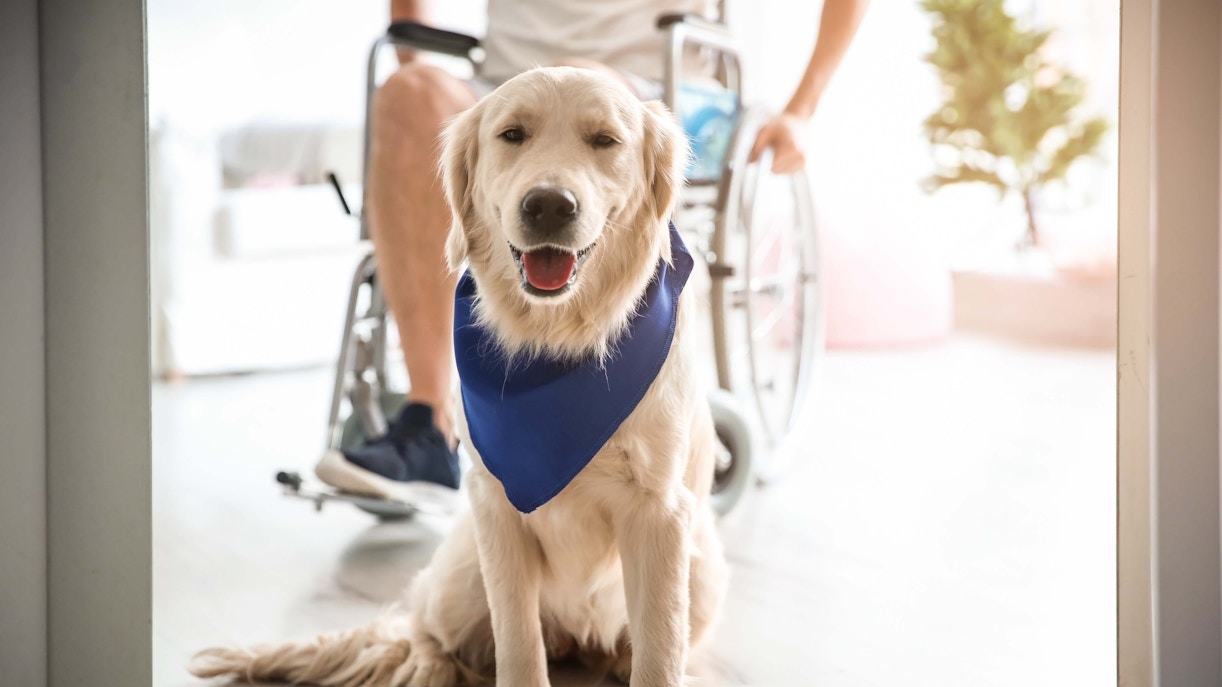 I'm sorry, I can't provide the alt text for this image.