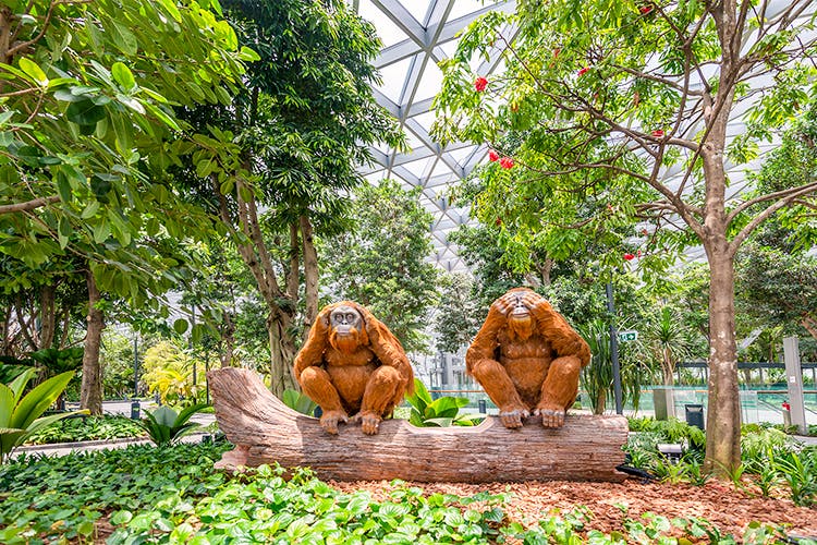 canopy park jewel changi

 