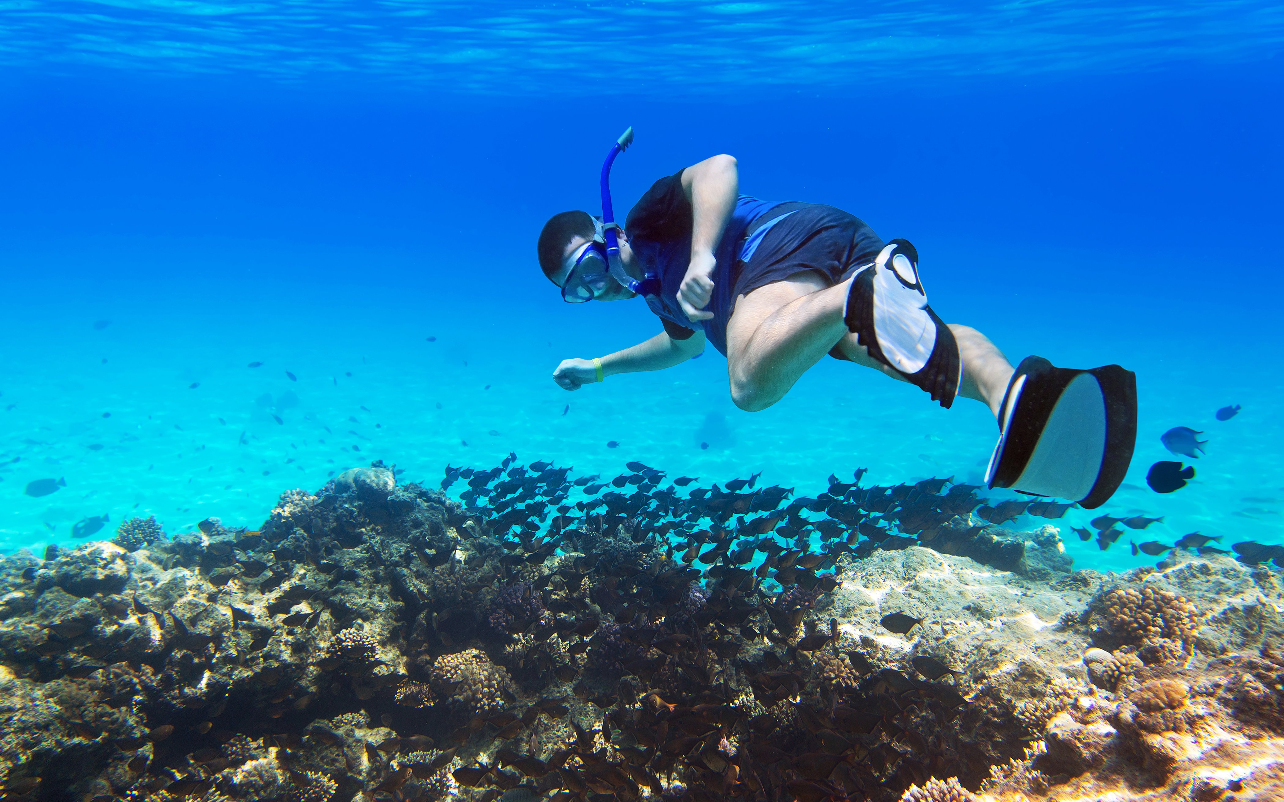 Scuba diver exploring coral reefs and fish in the Red Sea, Hurghada.