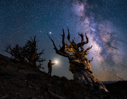 Day Trips from Las Vegas