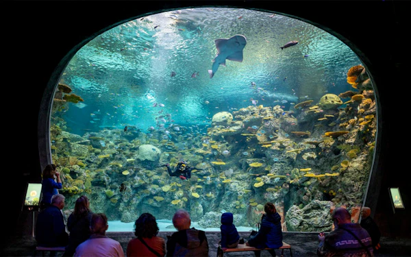 Seattle Aquarium Tickets